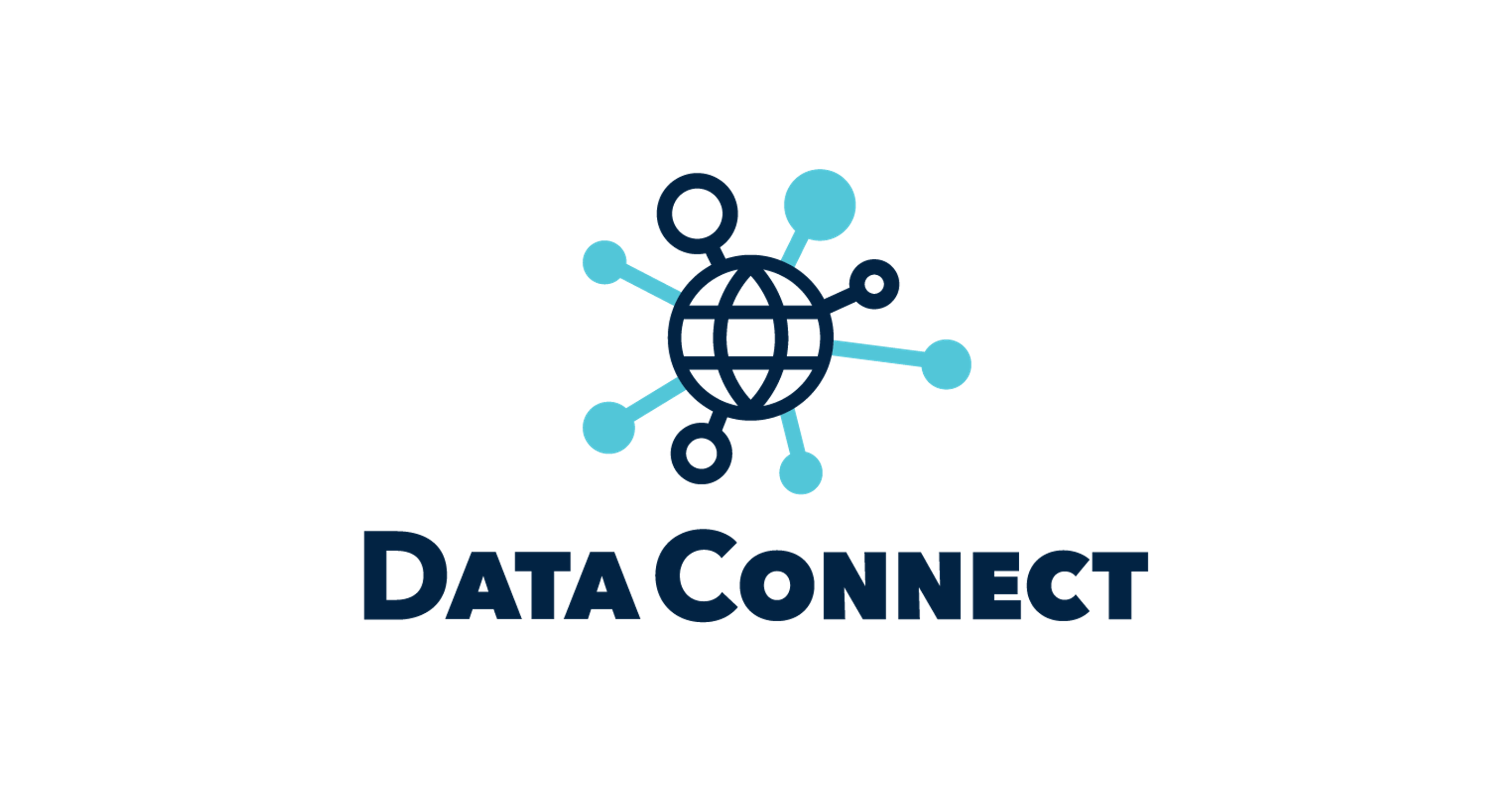 data connect, business strategies